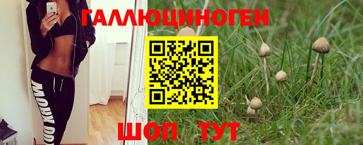 Галлюциногенные грибы мицелий  Галлюциногенные грибы Psilocybe  Вход с VPN  Воронеж 